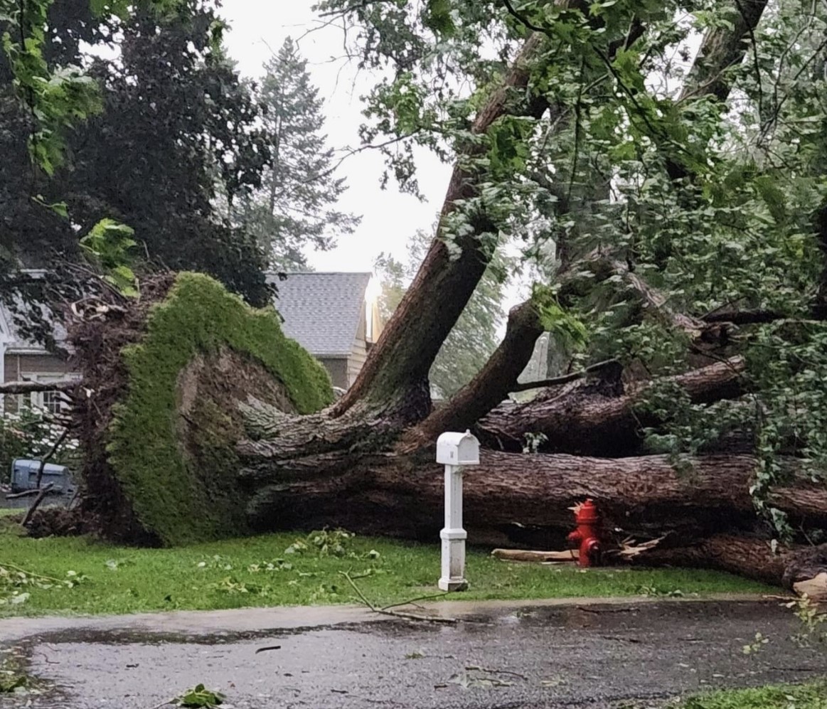 Dunkirk Declares State Of Emergency After Storm Damage | News, Sports, Jobs - Vimarsana News